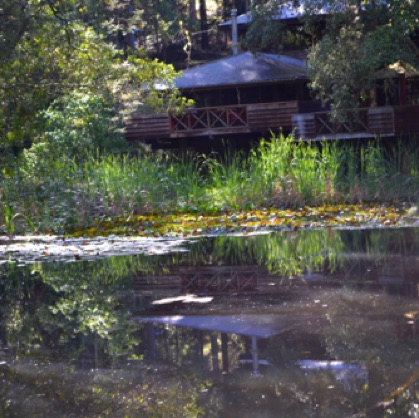 Enjoy a country breakfast in Araluen Restaurant over looking lily covered lake